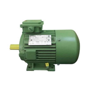 Hindustan - 2FC1-166-0403 - Motor 25Hp - HIM Series - Single Phase