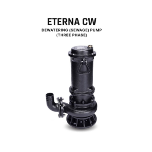 Kirloskar - Eterna 2200CW - 3HP 2.2KW 3PH - Submersible Pump